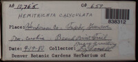 Image Associated With the Occurence